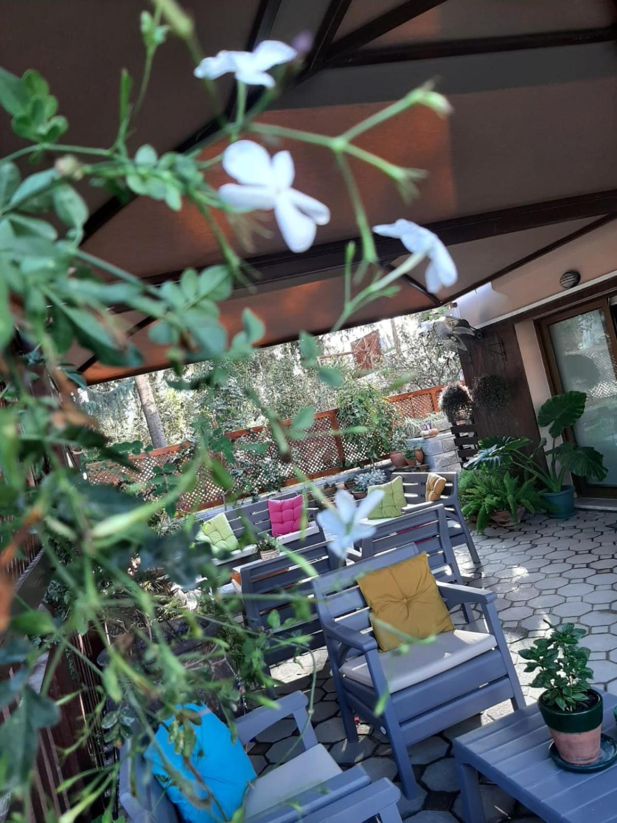 DENGE Homes Nicosia Buitenkant foto
